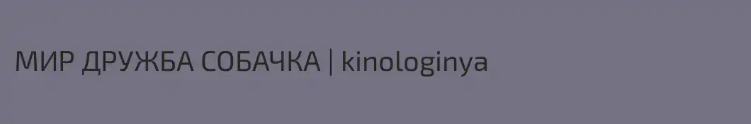 МИР ДРУЖБА СОБАЧКА | kinologinya